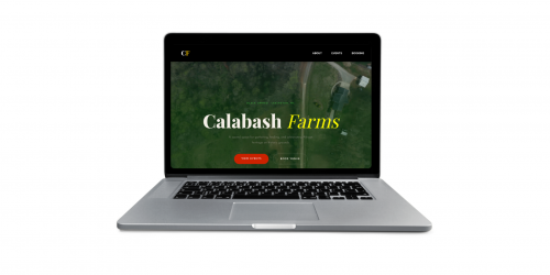 Standard Website