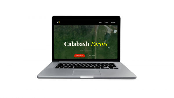 Standard Website